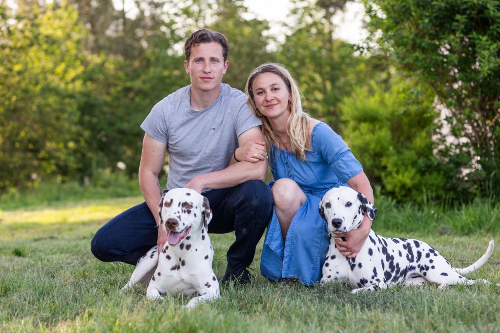 chiot Dalmatien De La Pépinière